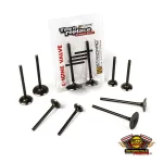 Válvulas calidad racing ybr xtz125